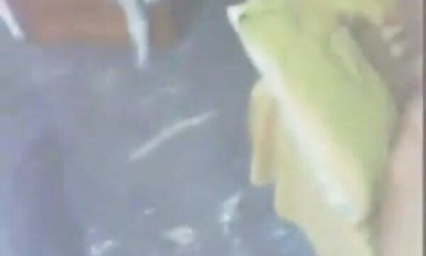XXX Kadakkal, makcik, satu lagi video, ibu masih mabuk, ibu tidur, dan tiada anak lelaki kelihatan.