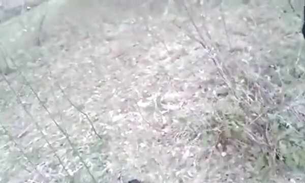 XXX Terlihat zakar untuk 3 video ibu matang dengan keldai besar.